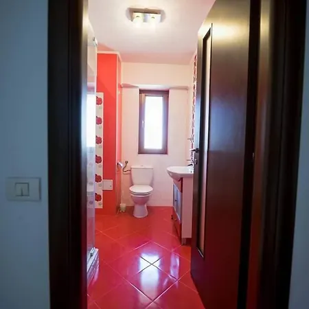 Paradis Exotic Mamaia