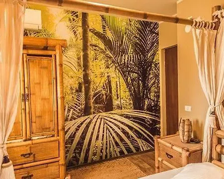 Paradis Exotic アパート ママイア